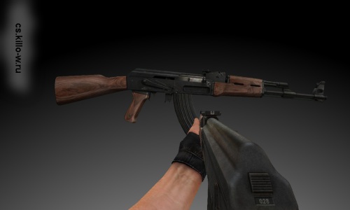 AK-47 Twinke & Thanez_ CoD4 AK Anims