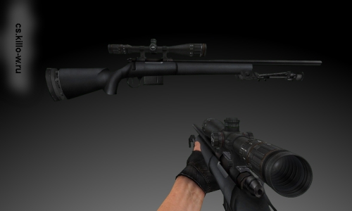 AWP M24